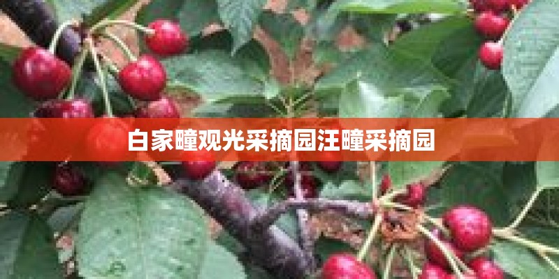 白家疃观光采摘园汪疃采摘园