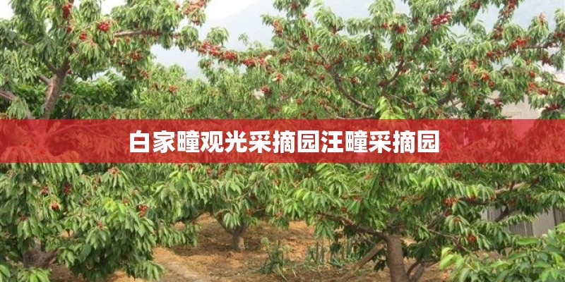 白家疃观光采摘园汪疃采摘园