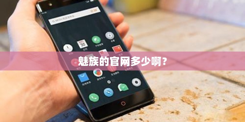 魅族的官网多少啊？