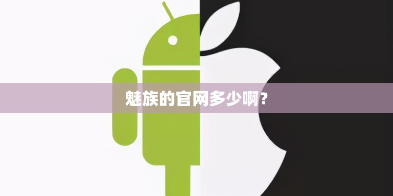 魅族的官网多少啊？