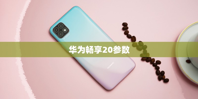 华为畅享20参数