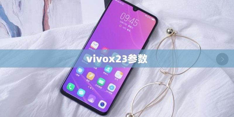 vivox23参数