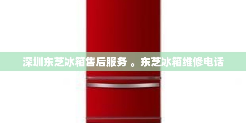深圳东芝冰箱售后服务 。东芝冰箱维修电话