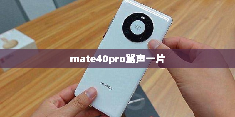 mate40pro骂声一片