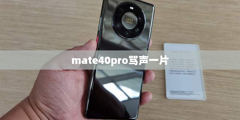 mate40pro骂声一片