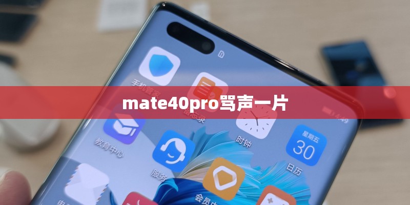 mate40pro骂声一片