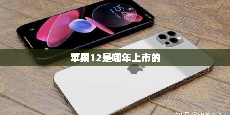 苹果12是哪年上市的