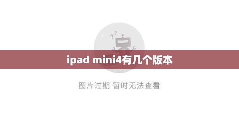 ipad mini4有几个版本