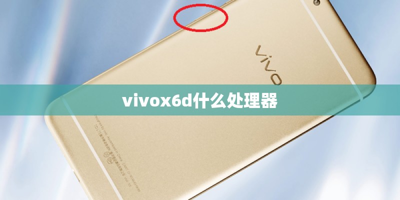 vivox6d什么处理器