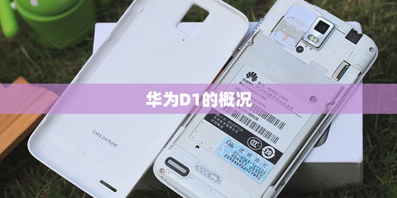 华为D1的概况