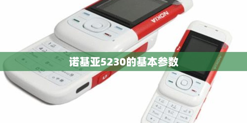 诺基亚5230的基本参数