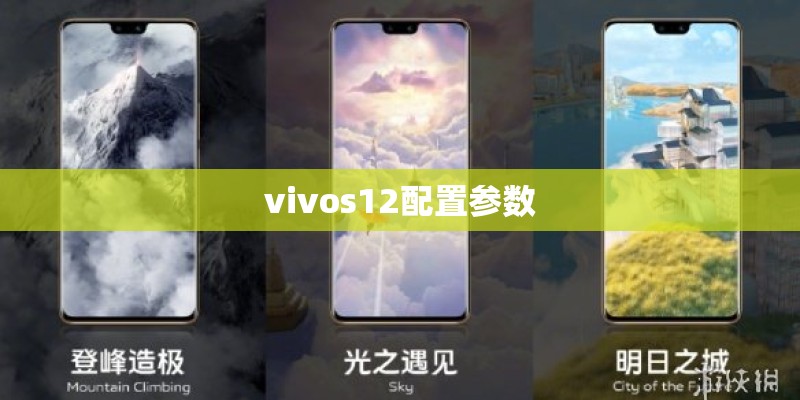 vivos12配置参数