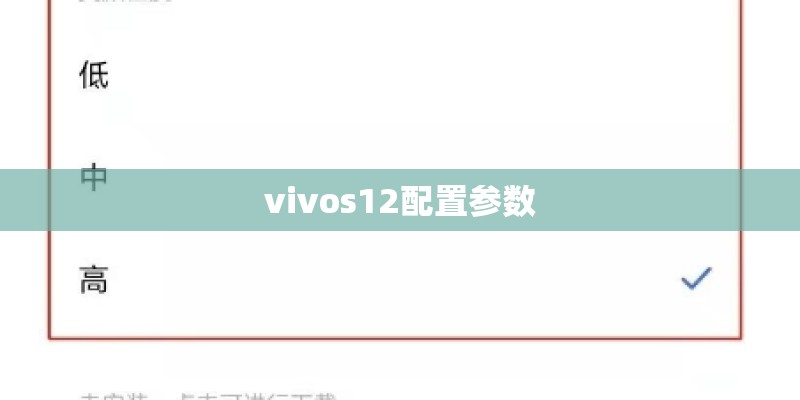 vivos12配置参数