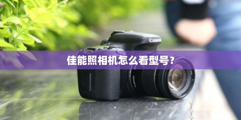 佳能照相机怎么看型号？