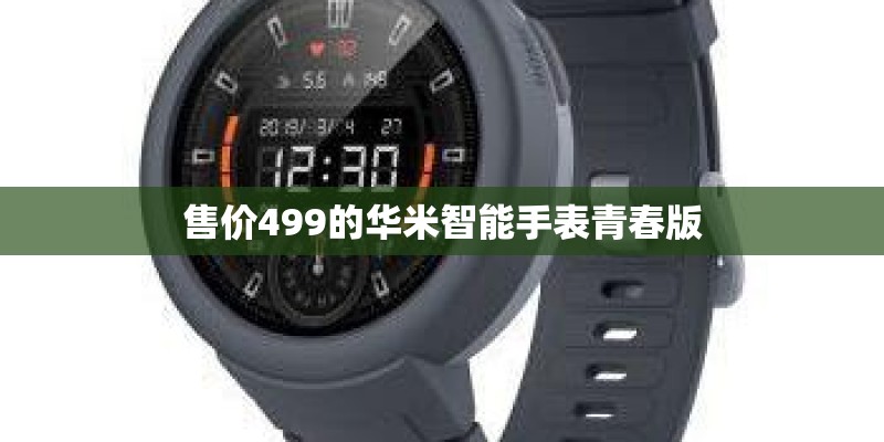 售价499的华米智能手表青春版