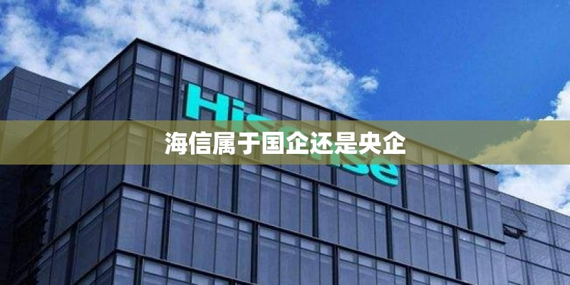 海信属于国企还是央企