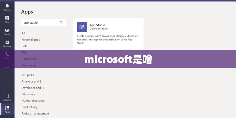 microsoft是啥