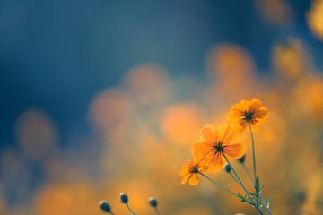 乒乓球桌子安装教程