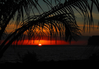 反应速度训练10种方法