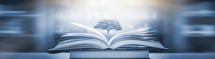 国产车逆袭发展之路