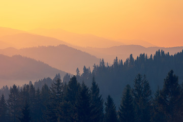 国产车比亚迪真的如你想象中的那么好吗？