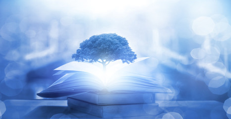 大学乒乓球体育选修课具体学什么？