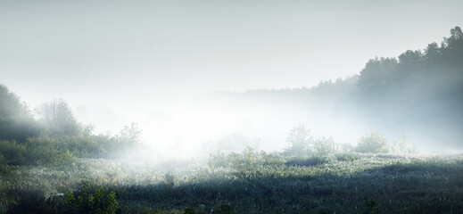 国产车比亚迪真的如你想象中的那么好吗？