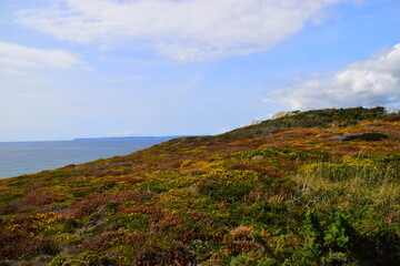 国产车逆袭发展之路