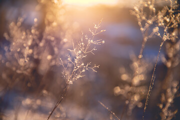 乒乓球区角活动介绍