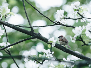 买国产车真的没面子吗？