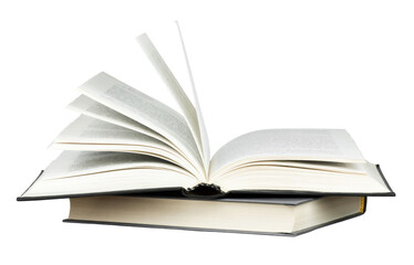 乒乓球区角活动介绍