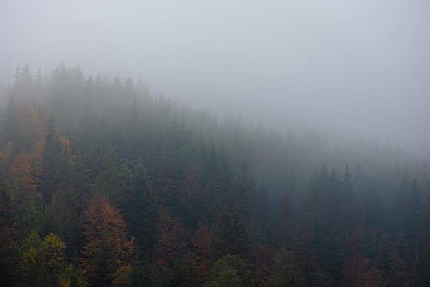 国产车比亚迪真的如你想象中的那么好吗？