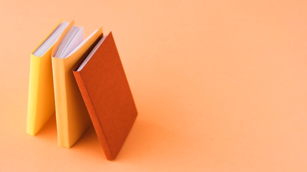 乒乓球区角活动介绍