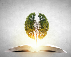 乒乓球区角活动介绍