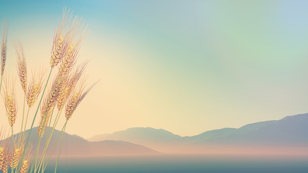 乒乓球区角活动介绍