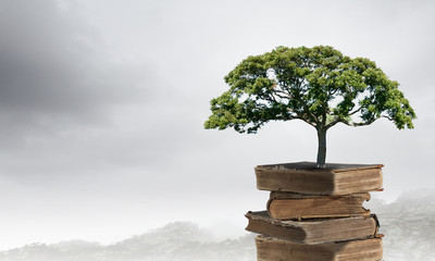 国产车逆袭发展之路