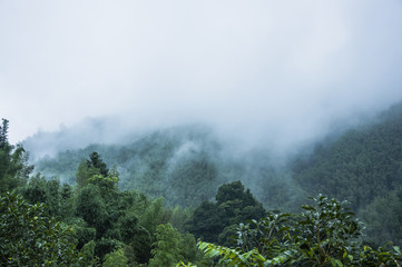 国产车比亚迪真的如你想象中的那么好吗？